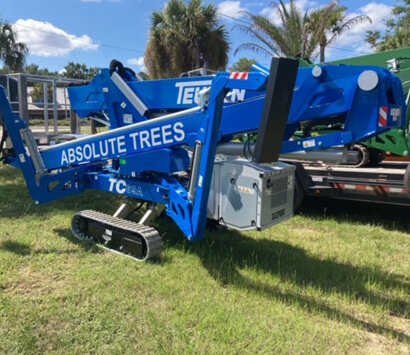 Providing expert tree care across Mount Pleasant and Charleston SC