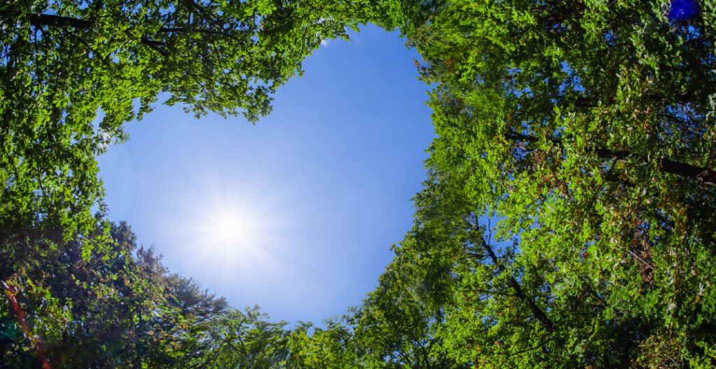 Tree maintenance resolutions for improving landscape health in 2023