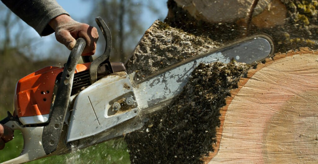 Choosing reliable tree cutting services for safe and efficient removal